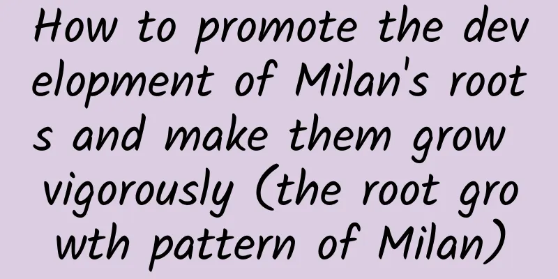 How to promote the development of Milan's roots and make them grow vigorously (the root growth pattern of Milan)