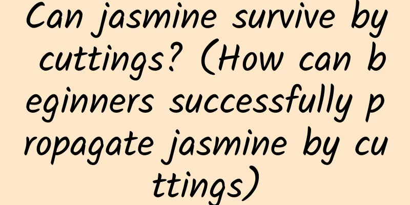 Can jasmine survive by cuttings? (How can beginners successfully propagate jasmine by cuttings)
