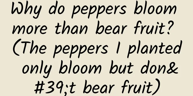 Why do peppers bloom more than bear fruit? (The peppers I planted only bloom but don't bear fruit)