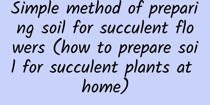 Simple method of preparing soil for succulent flowers (how to prepare soil for succulent plants at home)