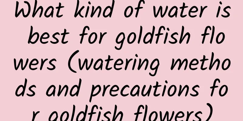 What kind of water is best for goldfish flowers (watering methods and precautions for goldfish flowers)