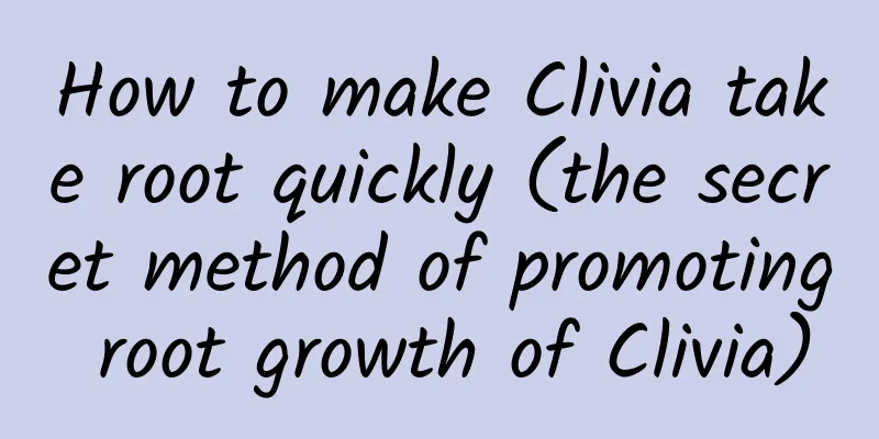 How to make Clivia take root quickly (the secret method of promoting root growth of Clivia)
