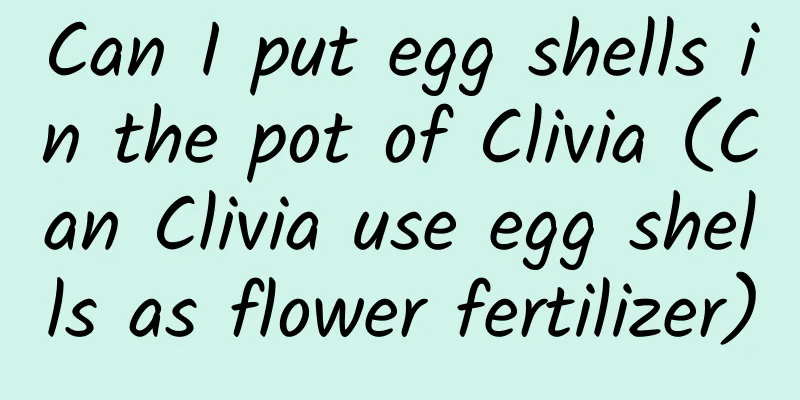 Can I put egg shells in the pot of Clivia (Can Clivia use egg shells as flower fertilizer)
