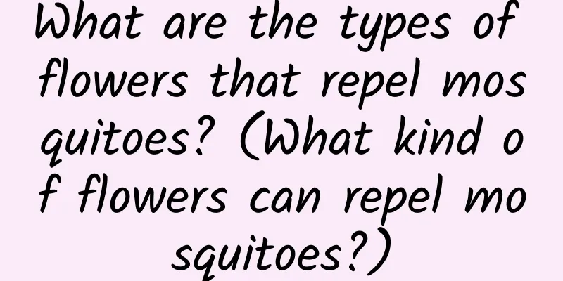 What are the types of flowers that repel mosquitoes? (What kind of flowers can repel mosquitoes?)