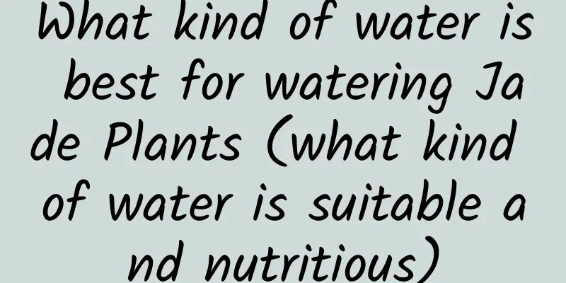 What kind of water is best for watering Jade Plants (what kind of water is suitable and nutritious)