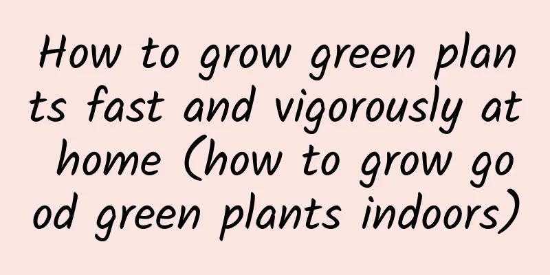How to grow green plants fast and vigorously at home (how to grow good green plants indoors)