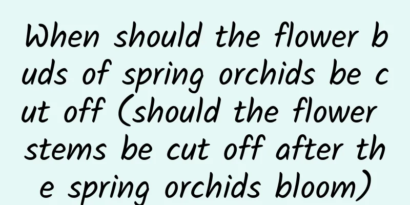 When should the flower buds of spring orchids be cut off (should the flower stems be cut off after the spring orchids bloom)