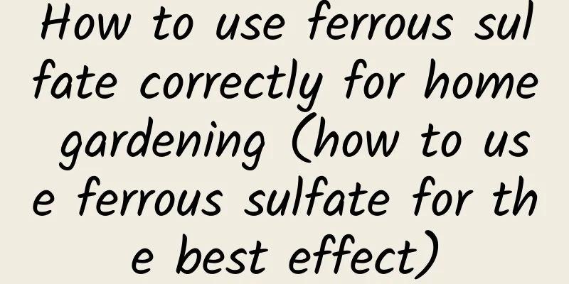 How to use ferrous sulfate correctly for home gardening (how to use ferrous sulfate for the best effect)