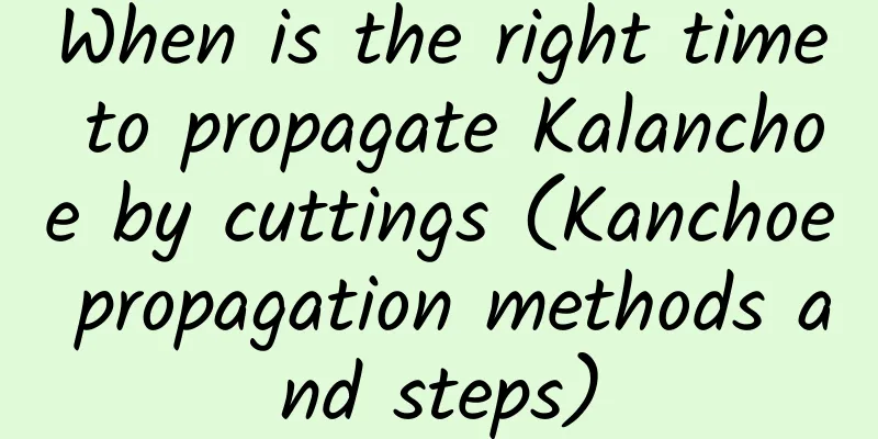 When is the right time to propagate Kalanchoe by cuttings (Kanchoe propagation methods and steps)