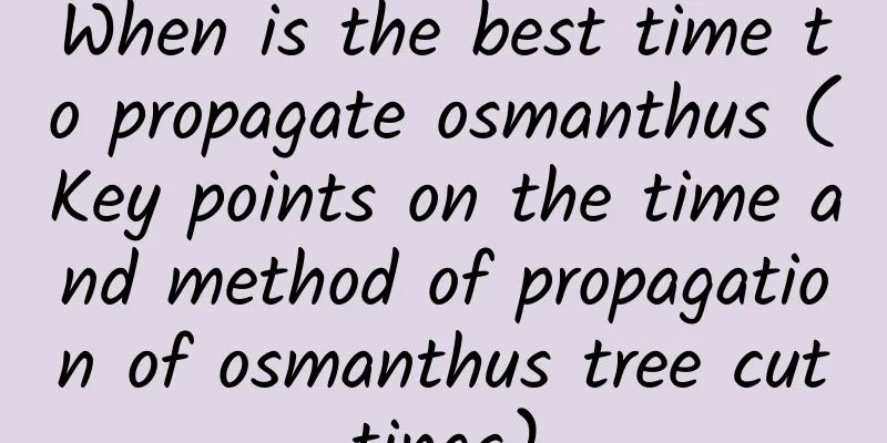 When is the best time to propagate osmanthus (Key points on the time and method of propagation of osmanthus tree cuttings)