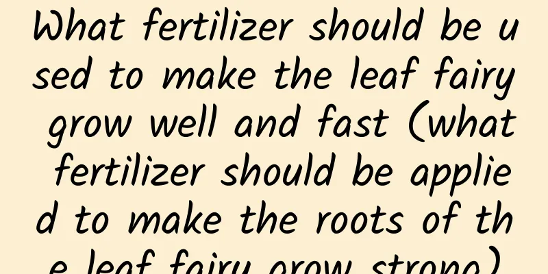 What fertilizer should be used to make the leaf fairy grow well and fast (what fertilizer should be applied to make the roots of the leaf fairy grow strong)