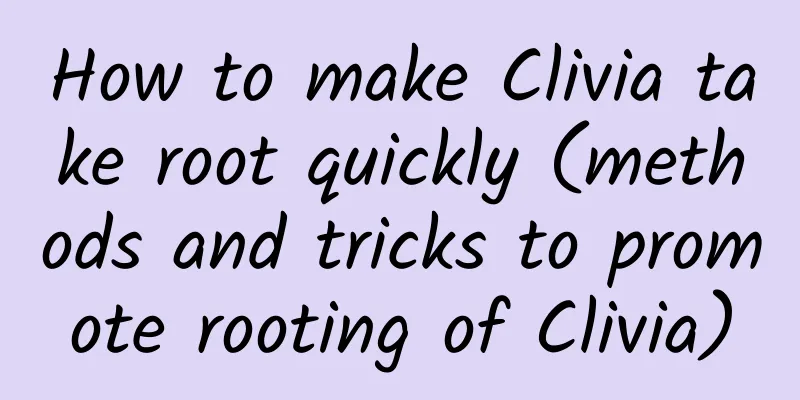 How to make Clivia take root quickly (methods and tricks to promote rooting of Clivia)