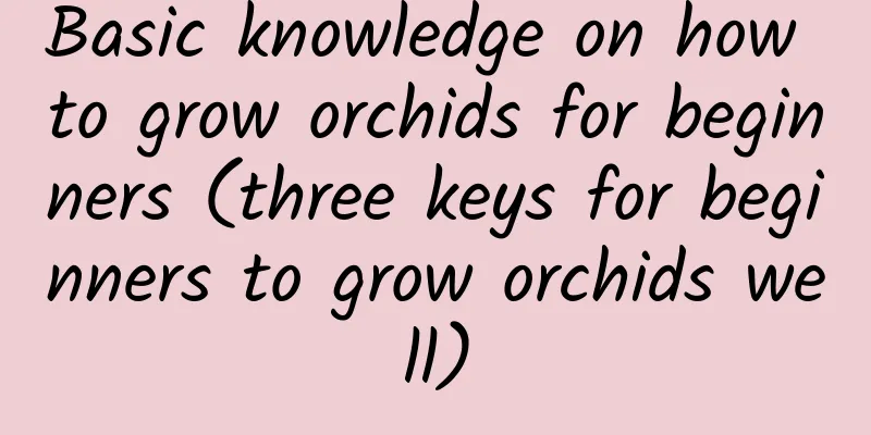 Basic knowledge on how to grow orchids for beginners (three keys for beginners to grow orchids well)