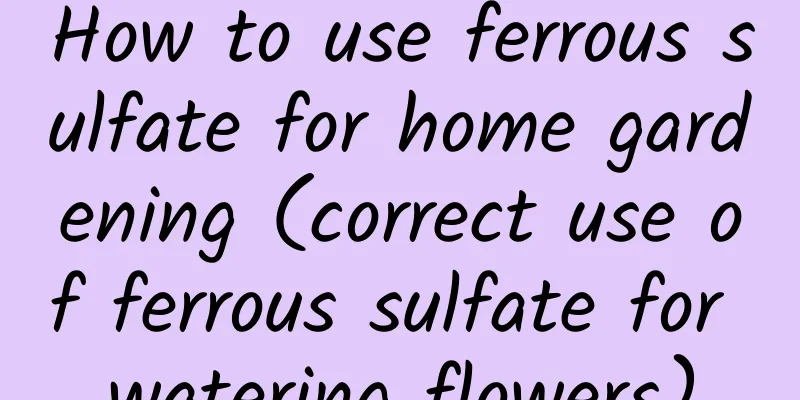 How to use ferrous sulfate for home gardening (correct use of ferrous sulfate for watering flowers)