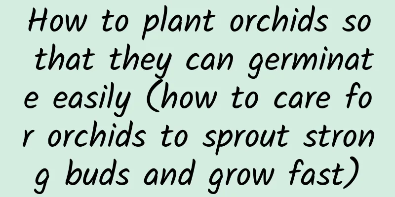 How to plant orchids so that they can germinate easily (how to care for orchids to sprout strong buds and grow fast)