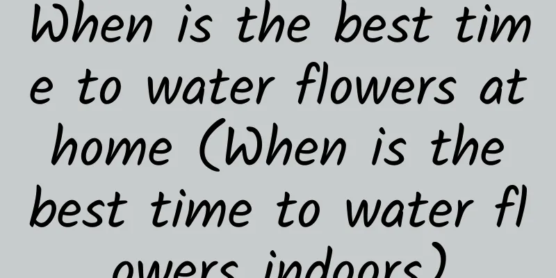 When is the best time to water flowers at home (When is the best time to water flowers indoors)