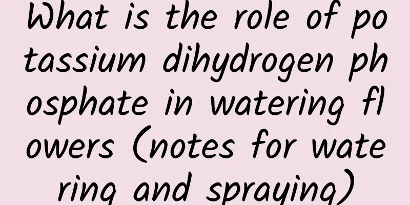 What is the role of potassium dihydrogen phosphate in watering flowers (notes for watering and spraying)