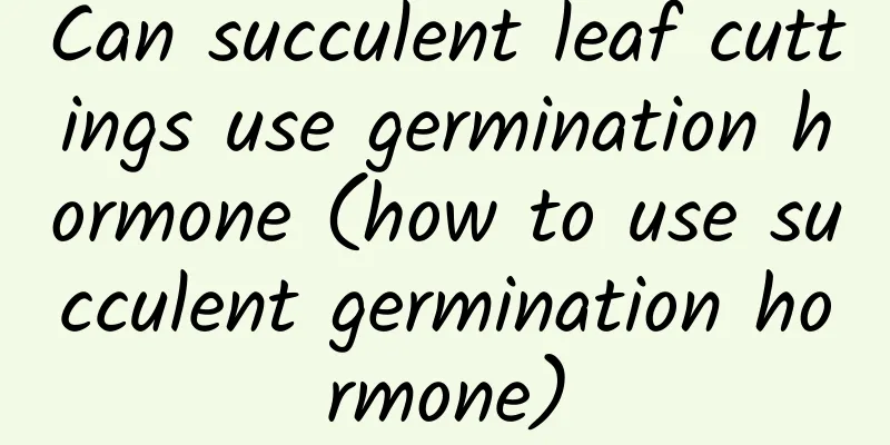 Can succulent leaf cuttings use germination hormone (how to use succulent germination hormone)