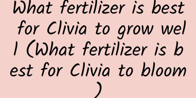 What fertilizer is best for Clivia to grow well (What fertilizer is best for Clivia to bloom)