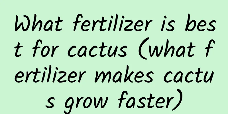What fertilizer is best for cactus (what fertilizer makes cactus grow faster)