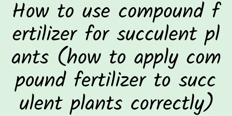How to use compound fertilizer for succulent plants (how to apply compound fertilizer to succulent plants correctly)