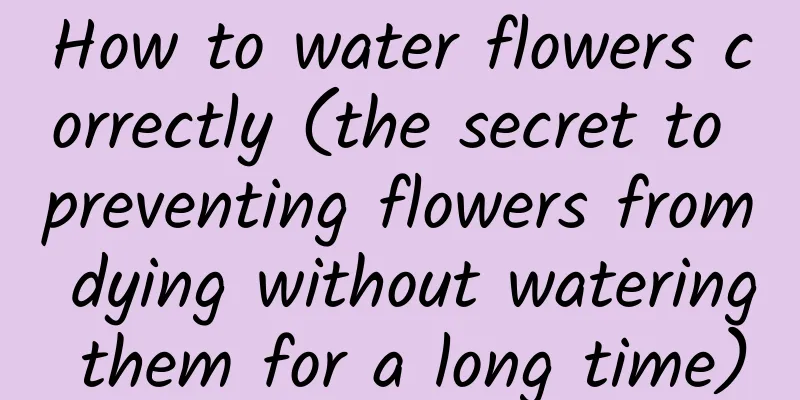 How to water flowers correctly (the secret to preventing flowers from dying without watering them for a long time)