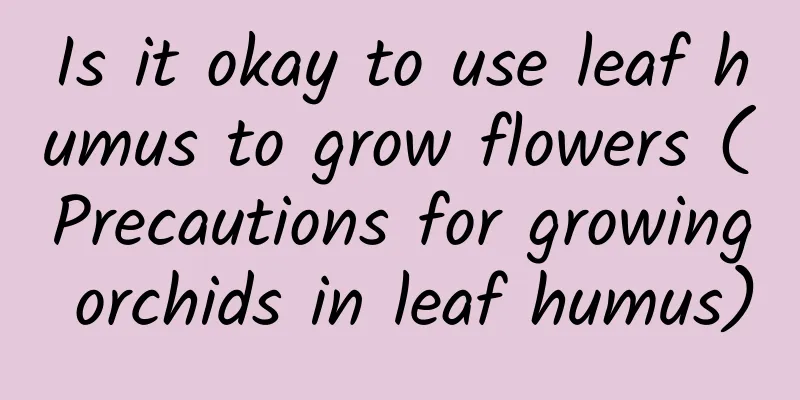 Is it okay to use leaf humus to grow flowers (Precautions for growing orchids in leaf humus)