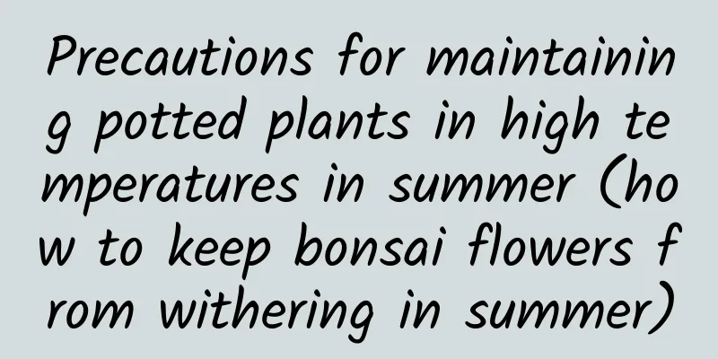 Precautions for maintaining potted plants in high temperatures in summer (how to keep bonsai flowers from withering in summer)