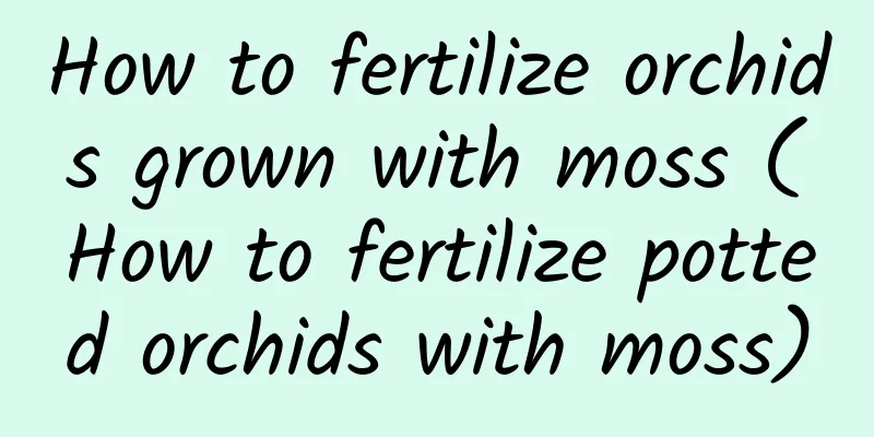 How to fertilize orchids grown with moss (How to fertilize potted orchids with moss)