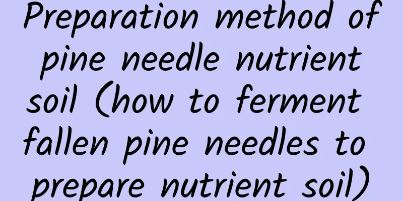 Preparation method of pine needle nutrient soil (how to ferment fallen pine needles to prepare nutrient soil)