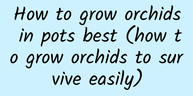 How to grow orchids in pots best (how to grow orchids to survive easily)