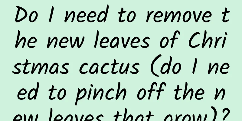 Do I need to remove the new leaves of Christmas cactus (do I need to pinch off the new leaves that grow)?