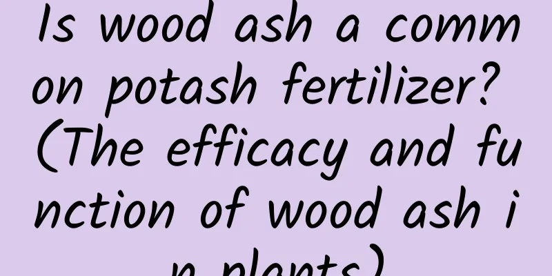 Is wood ash a common potash fertilizer? (The efficacy and function of wood ash in plants)