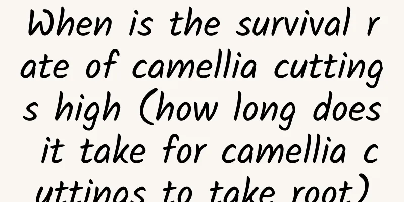 When is the survival rate of camellia cuttings high (how long does it take for camellia cuttings to take root)