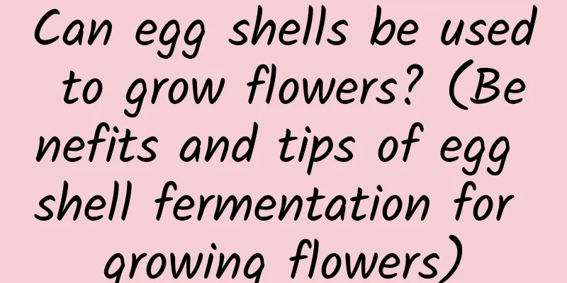 Can egg shells be used to grow flowers? (Benefits and tips of egg shell fermentation for growing flowers)