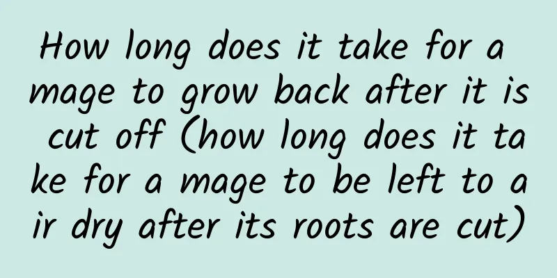 How long does it take for a mage to grow back after it is cut off (how long does it take for a mage to be left to air dry after its roots are cut)