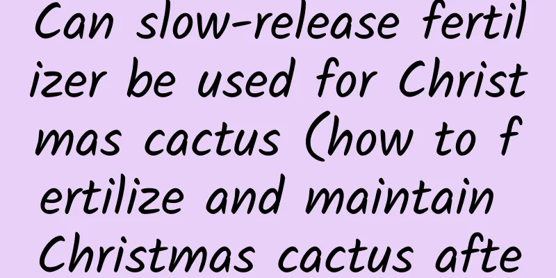 Can slow-release fertilizer be used for Christmas cactus (how to fertilize and maintain Christmas cactus after its flowering period)