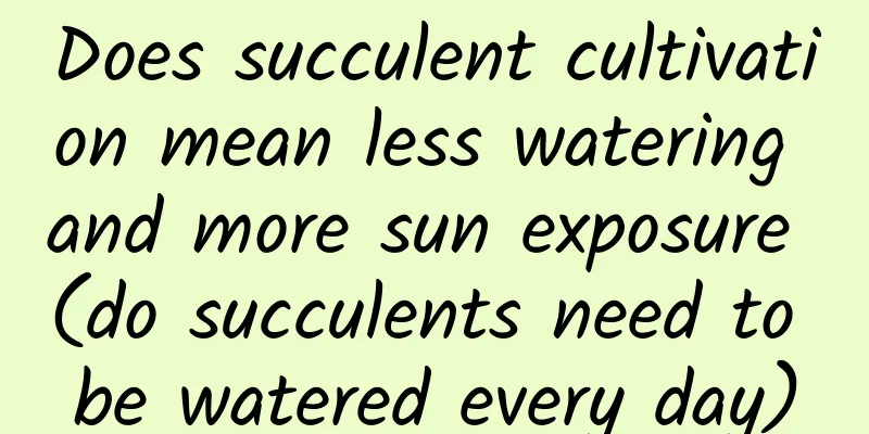 Does succulent cultivation mean less watering and more sun exposure (do succulents need to be watered every day)
