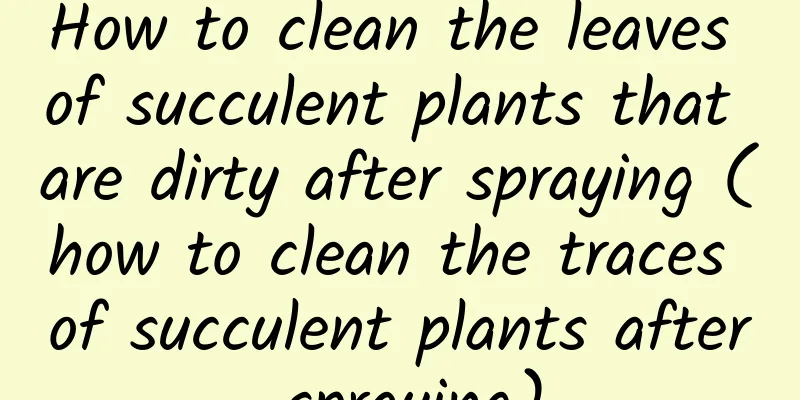 How to clean the leaves of succulent plants that are dirty after spraying (how to clean the traces of succulent plants after spraying)