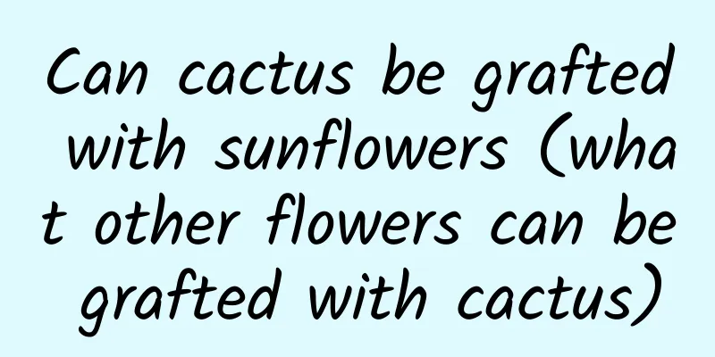 Can cactus be grafted with sunflowers (what other flowers can be grafted with cactus)