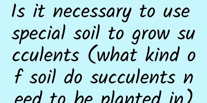 Is it necessary to use special soil to grow succulents (what kind of soil do succulents need to be planted in)