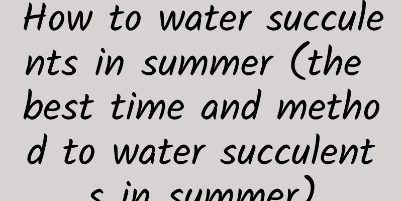 How to water succulents in summer (the best time and method to water succulents in summer)