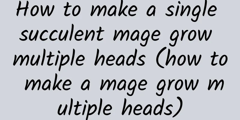 How to make a single succulent mage grow multiple heads (how to make a mage grow multiple heads)