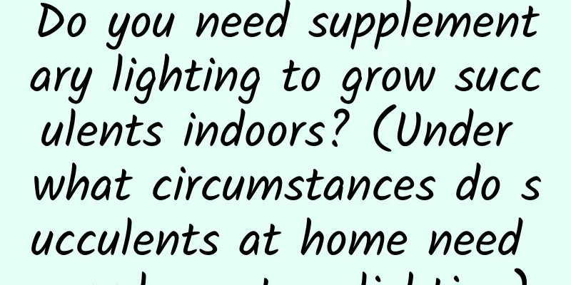 Do you need supplementary lighting to grow succulents indoors? (Under what circumstances do succulents at home need supplementary lighting)