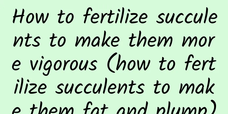 How to fertilize succulents to make them more vigorous (how to fertilize succulents to make them fat and plump)