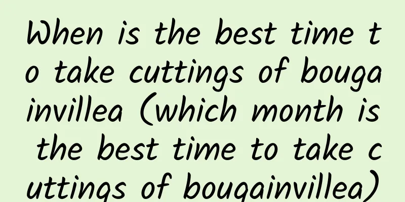 When is the best time to take cuttings of bougainvillea (which month is the best time to take cuttings of bougainvillea)