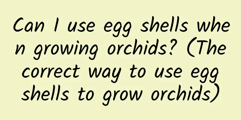 Can I use egg shells when growing orchids? (The correct way to use egg shells to grow orchids)