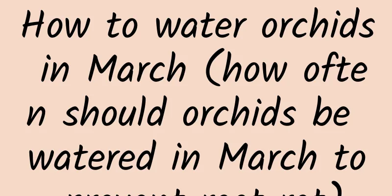 How to water orchids in March (how often should orchids be watered in March to prevent root rot)