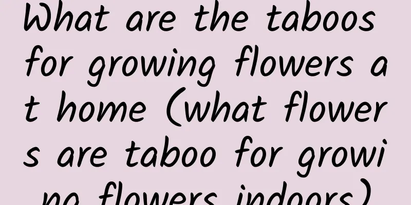 What are the taboos for growing flowers at home (what flowers are taboo for growing flowers indoors)