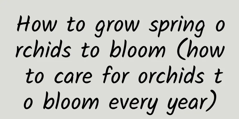 How to grow spring orchids to bloom (how to care for orchids to bloom every year)